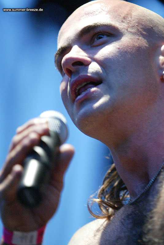 Bild eines Mitglieds der Band Die Apokalyptischen Reiter beim Live Auftritt.